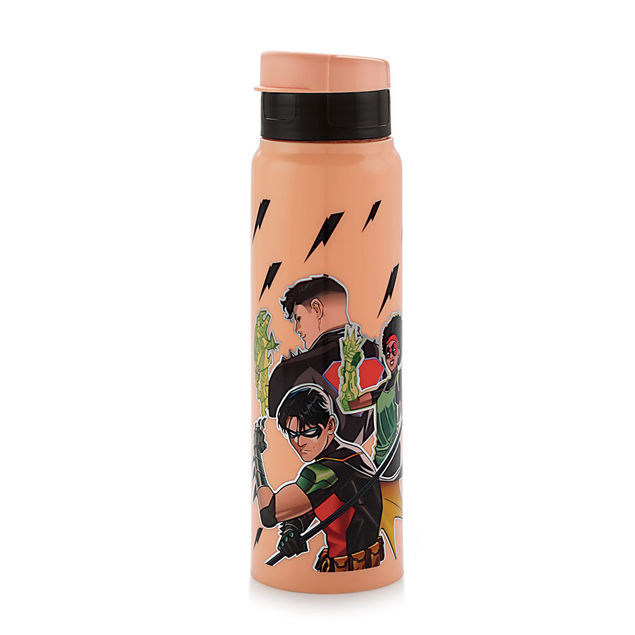 steel zetta big dlx inner steel insulated water bottle