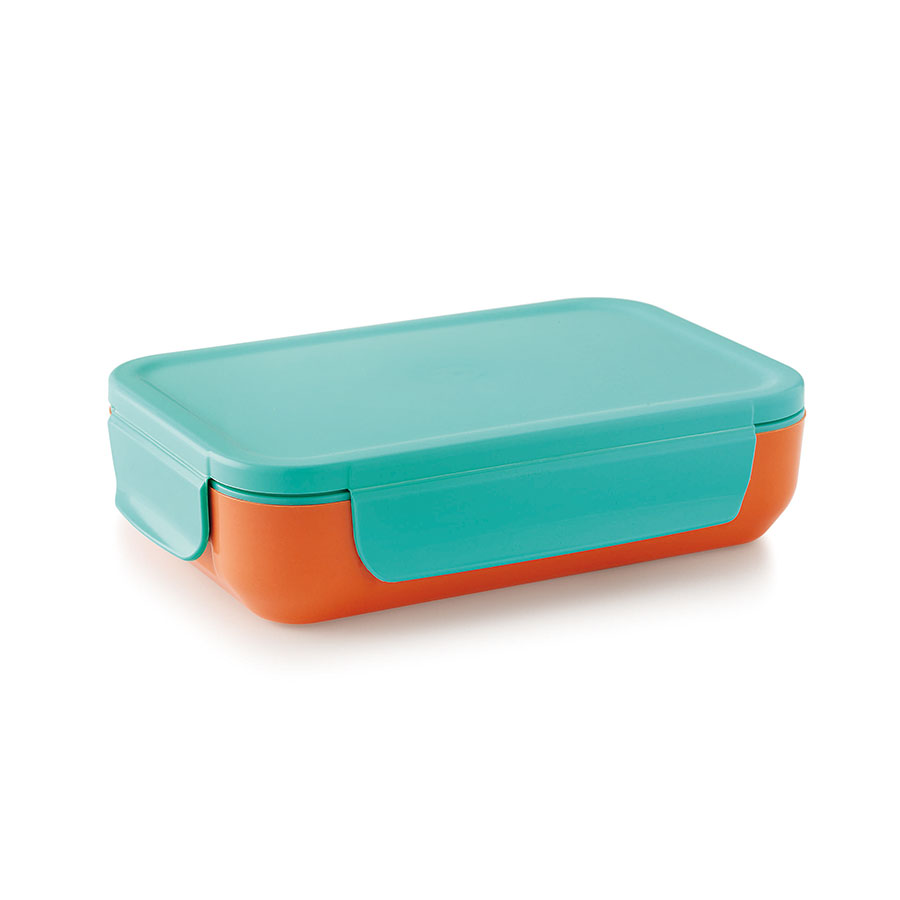 smart lock* steel inner insulated snack pack