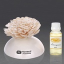 Reed Diffuser - Assorted Fragrances - Torrent