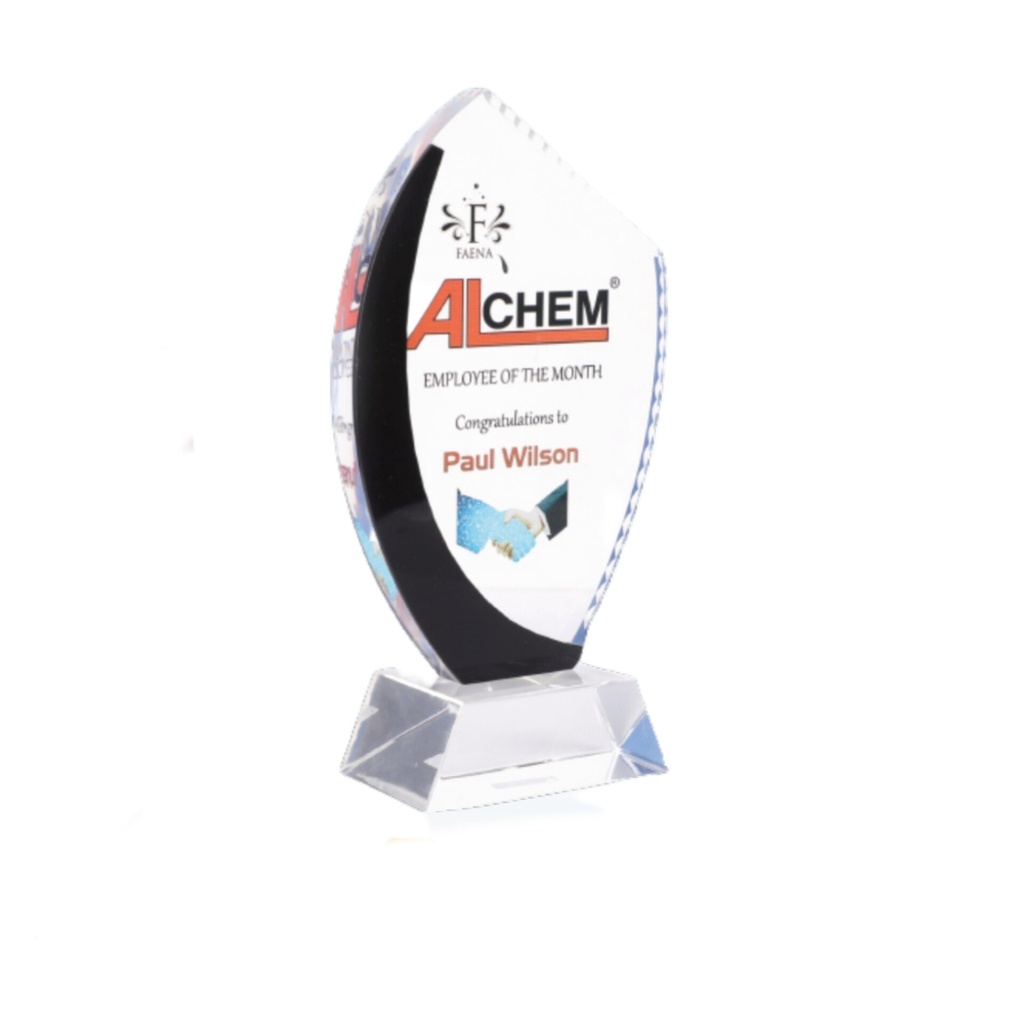 9.5" Excellence memento 