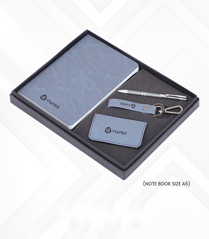 Pen, Key Chain, V. Card Holder & Note Book (4pc set)