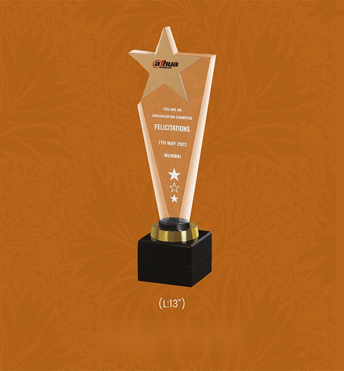 Acryic Awards with box