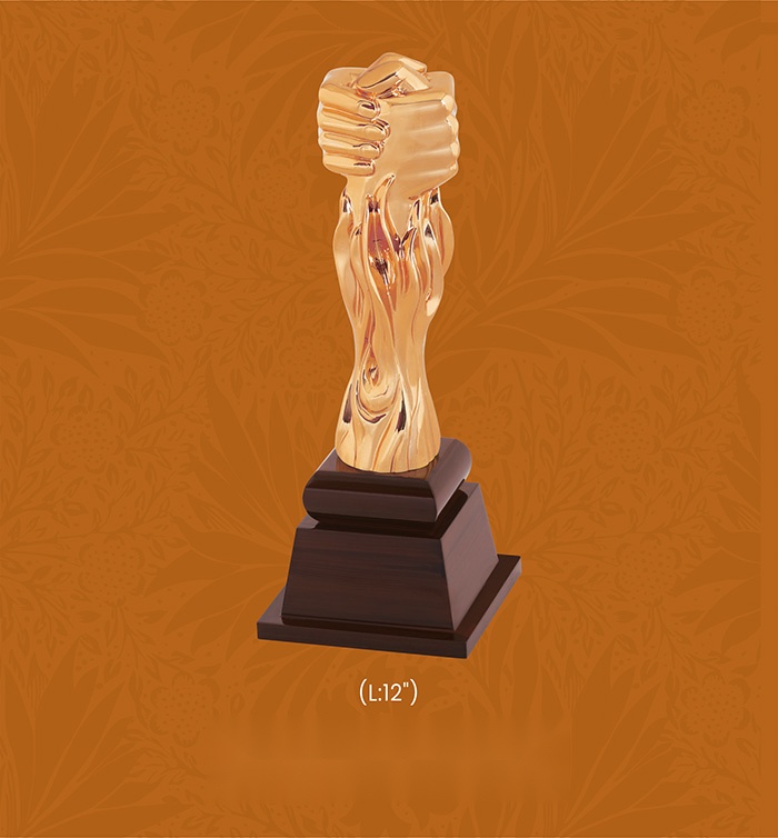 Trophies & Awards with box