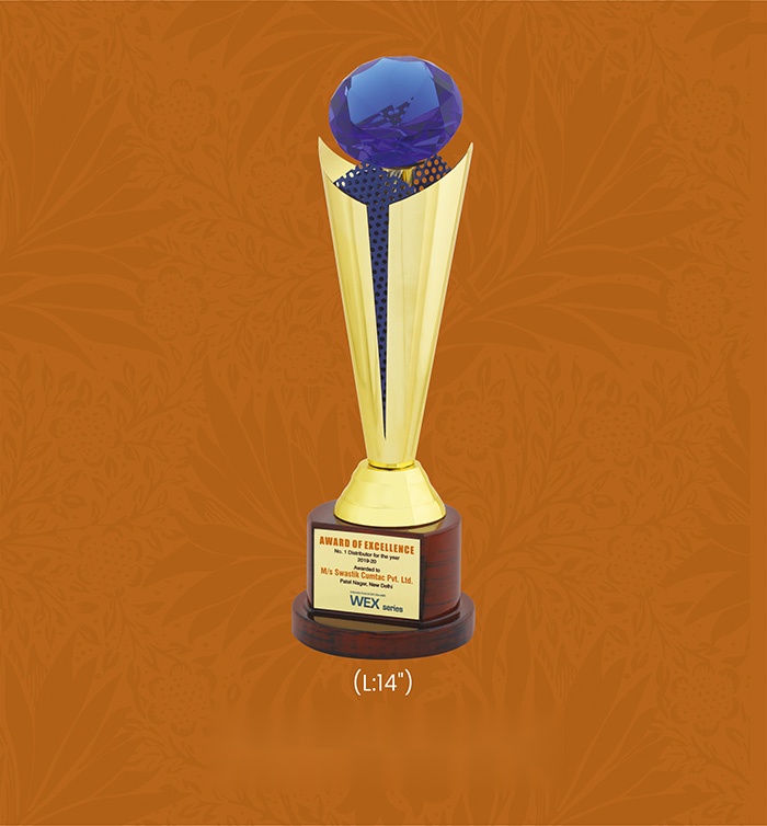 Trophies & Awards with box