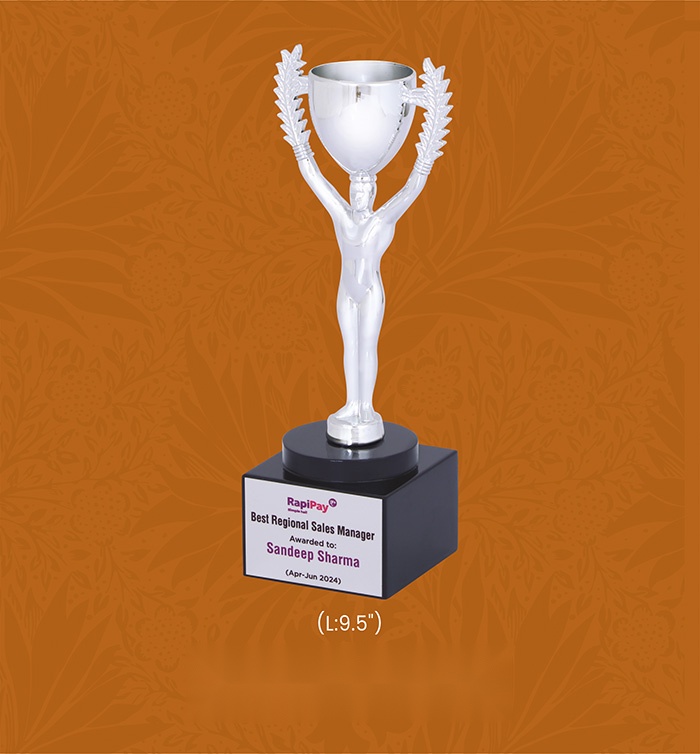 Trophies & Awards Silver,Gold with box