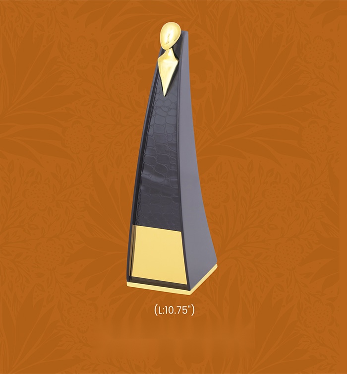 Trophies & Awards with box