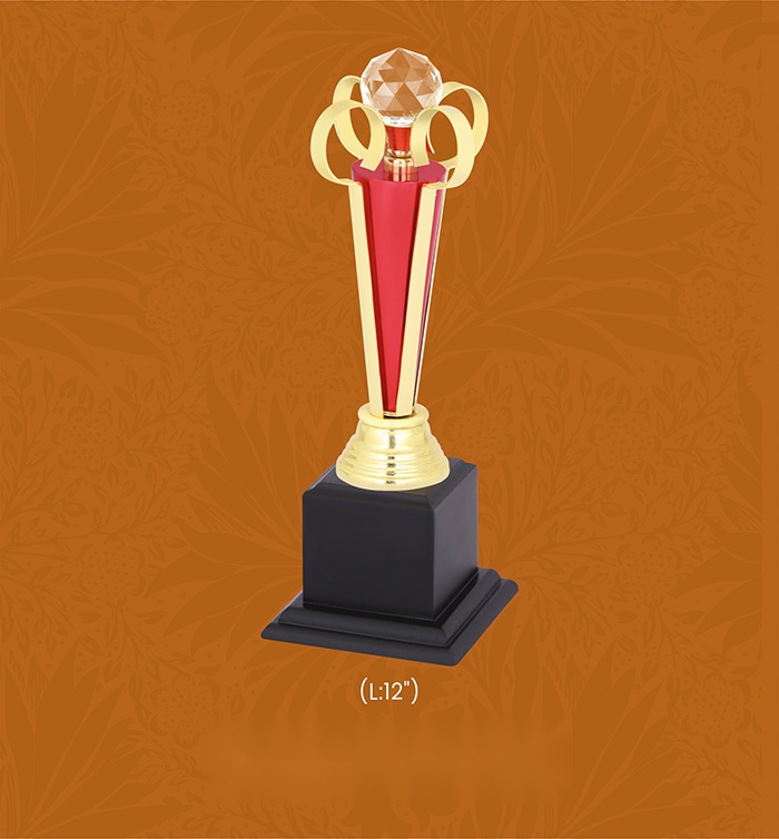 Trophies & Awards with box