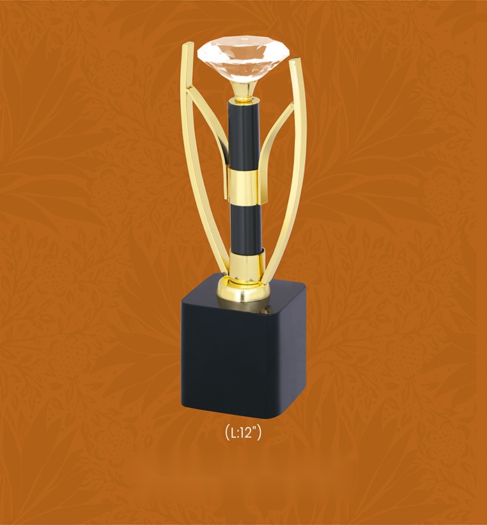 Trophies & Awards with box