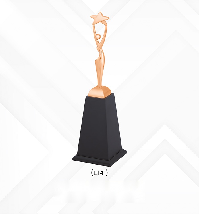 Trophies & Awards with box