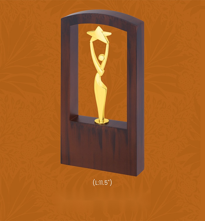 Trophies & Awards with box