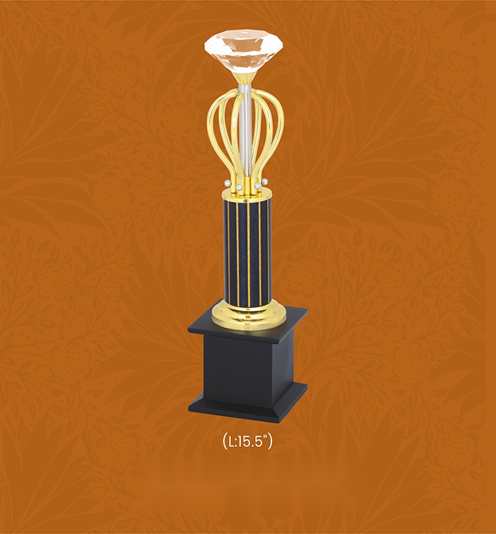 Trophies & Awards with box