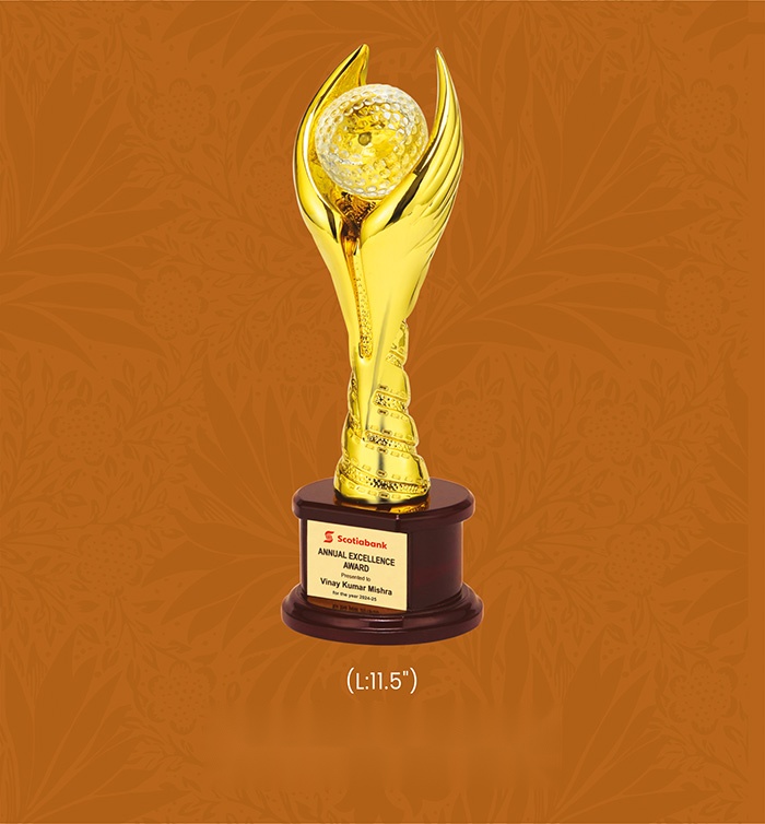 Trophies & Awards with box