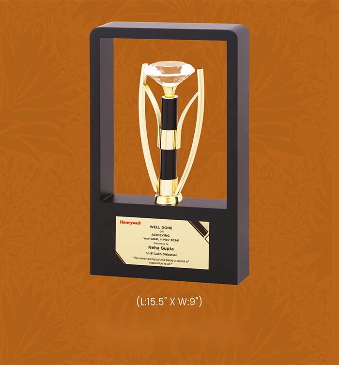 Trophies & Awards with box