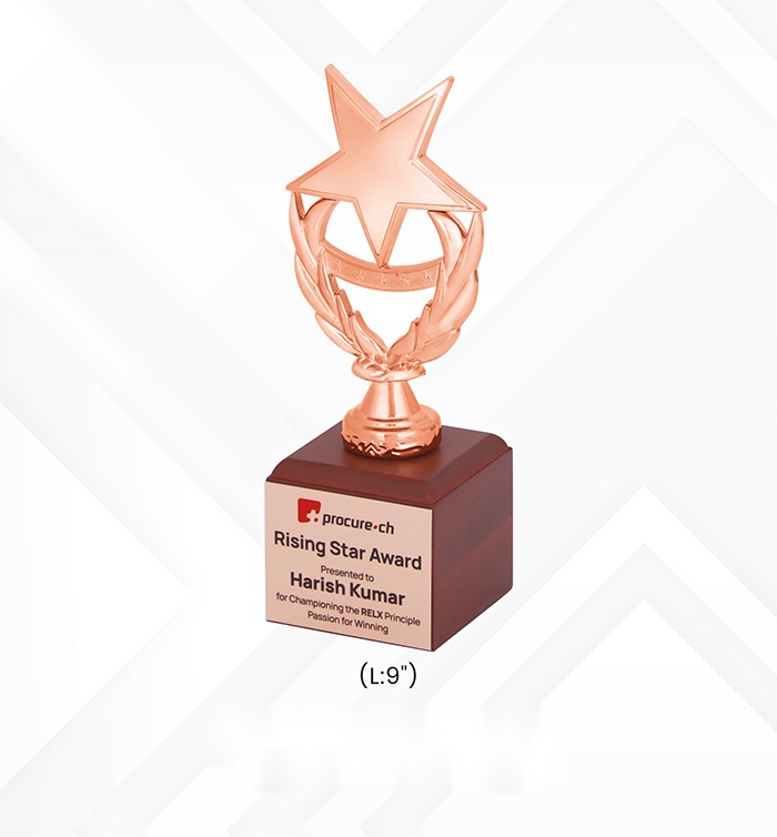 Star Trophies Gold,Silver,Copper with box