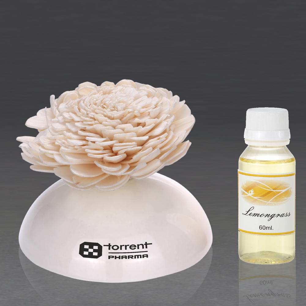 [60267] Reed Diffuser - Assorted Fragrances - Torrent